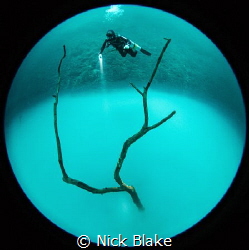 Angelita
Nikon D810, circular fisheye by Nick Blake 